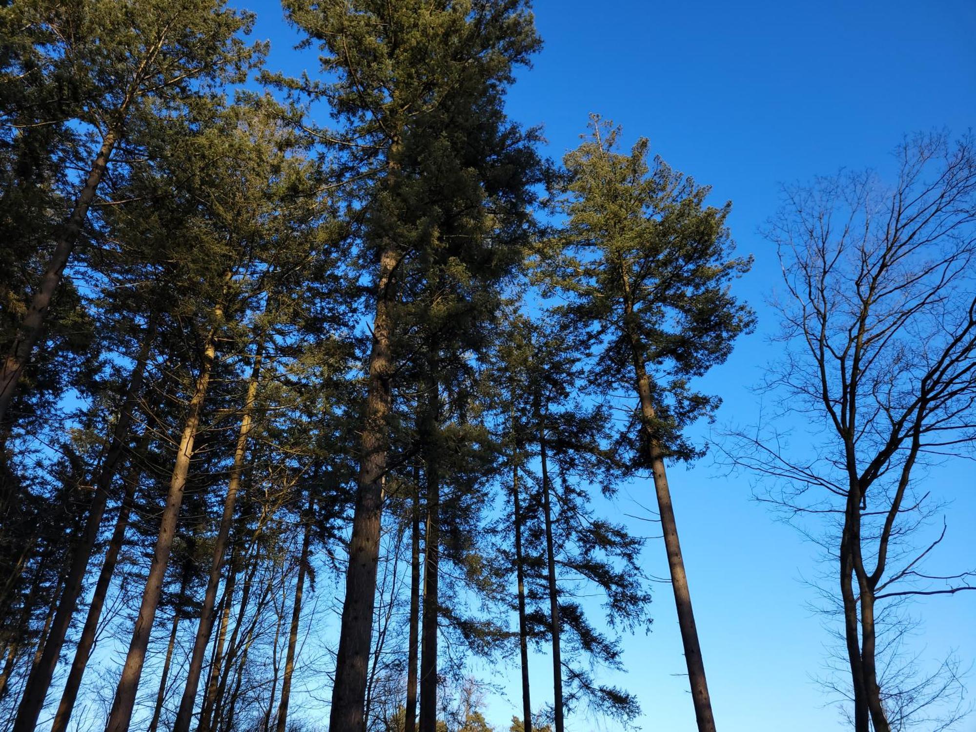 Secret Wellness Puur Natuur Holten Exterior foto